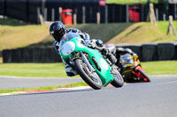 brands-hatch-photographs;brands-no-limits-trackday;cadwell-trackday-photographs;enduro-digital-images;event-digital-images;eventdigitalimages;no-limits-trackdays;peter-wileman-photography;racing-digital-images;trackday-digital-images;trackday-photos
